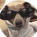 Praad (@giganpradhi) Twitter profile photo