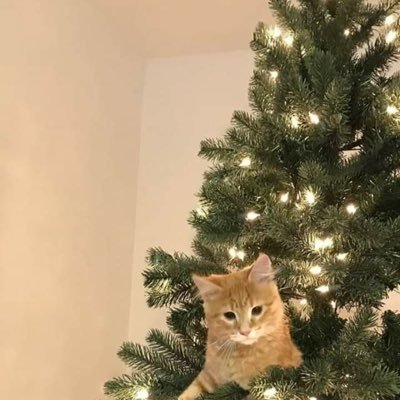 mayathitta's profile picture. #kimheysoo #blackpink #mannequeen #funkyy #bebymonster