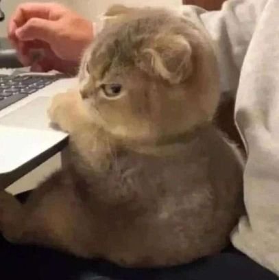 takotaou's profile picture. dm me for custom banners, only php! or dm if usd and payment