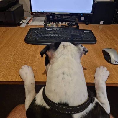 eithergoodorbad's profile picture. 