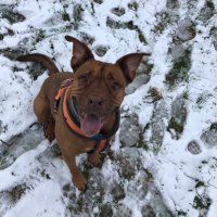 Kirsty Easdon (@kirsty_easdon) 's Twitter Profile Photo