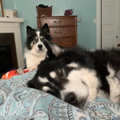 sXCmhrpO7V496XJ's profile picture. Machine Specialists. Motorcycles. Muscle Cars. Water..Clear or Salty.