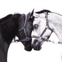 أحمد التميمي (@altmaimi_ahmad) 's Twitter Profile