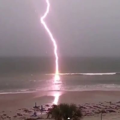 AneideChaste's profile picture. 