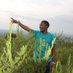 edmonmusinguzi@gmail.com (@edmonmusinguzi2) Twitter profile photo edmonmusinguzi@gmail.com (@edmonmusinguzi2) Twitter profile photo