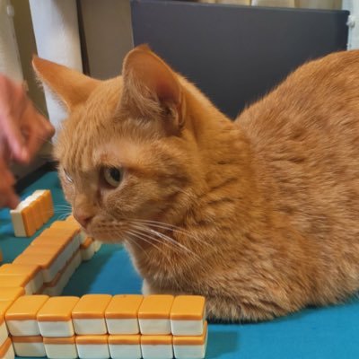 helphelp05's profile picture. 34のおとこです。