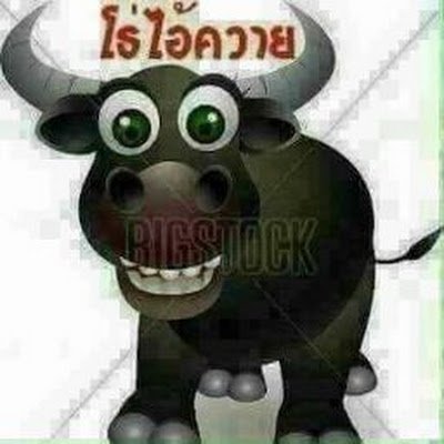 AkRungame's profile picture. 