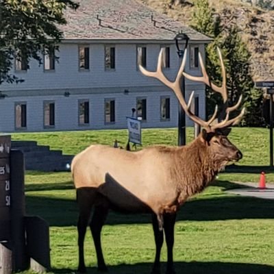 MadeInMICHIGAN3's profile picture. I am a Conservative American. I love My Country, My Wife, and My Freedom. screw the rest