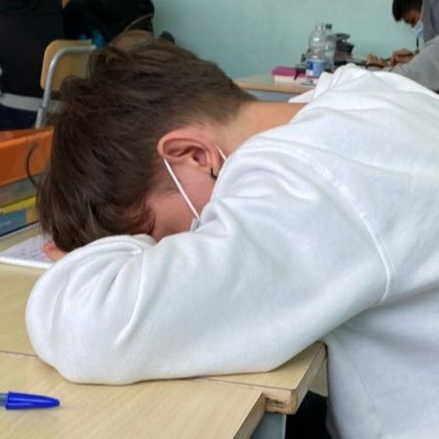 _medola's profile picture. 