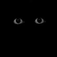 None_Of_Your_Business! (@no_________bruh) 's Twitter Profile