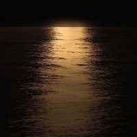 King Switch (@magicswitch) 's Twitter Profile