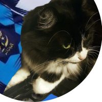 ۞Faïza۞🇨🇵🇩🇿🇪🇭🇵🇸 (@faiza_etmoi) 's Twitter Profile Photo ۞Faïza۞🇨🇵🇩🇿🇪🇭🇵🇸 (@faiza_etmoi) 's Twitter Profile Photo