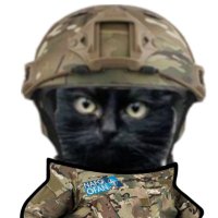 ๐บ๐ฆHa๊ญysCatFella๐ฌ๐ช๐ช๐บ๐ฌ๐ฑ๐น๐ผ๐ฝ๐๎จ (@hanyscatfella) 's Twitter Profile Photo ๐บ๐ฆHa๊ญysCatFella๐ฌ๐ช๐ช๐บ๐ฌ๐ฑ๐น๐ผ๐ฝ๐๎จ (@hanyscatfella) 's Twitter Profile Photo