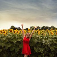 Cassandra G. (@cassagustafsson) 's Twitter Profile