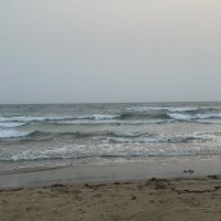 ابوسالم (@sfshalwan) 's Twitter Profile Photo ابوسالم (@sfshalwan) 's Twitter Profile Photo