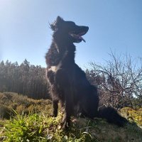 38% (@claudio76oct) 's Twitter Profile