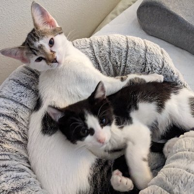 wetcasements's profile picture. @wet-casements.bsky.social