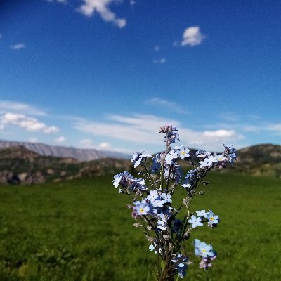 https://t.co/L7lhKHcE0k
bol bol kısa video için kanala abone ol