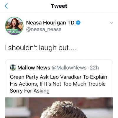 No particular political party, there are good people throughout, but also too many bad apples, I’m green but not Green. Irish Greens are fools led by a clown.