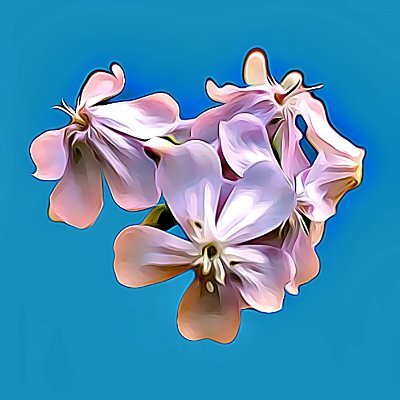 Twitter home of Nature Dopes. Web/software Developer.
Cardano Community