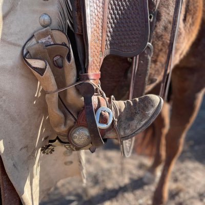 U.S.A.F. Retired, Public Servant and Rancher