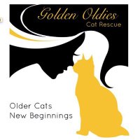 Golden Oldies Cat Rescue (@catsoldies) 's Twitter Profile