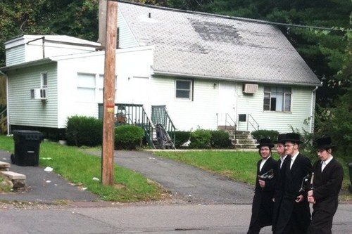 friedwaldshames's profile picture. 