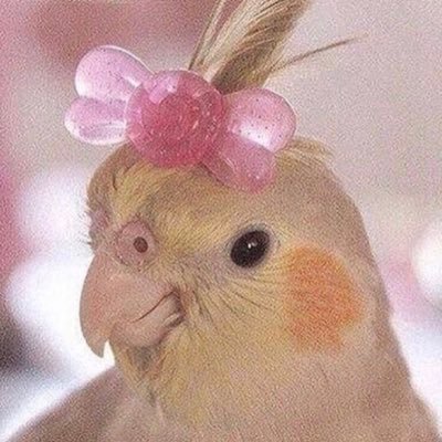 eliさんのプロフィール画像