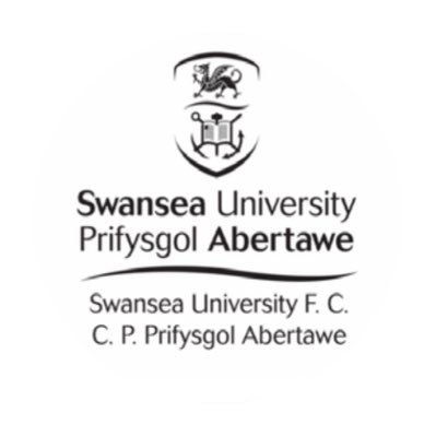 Swansea University FC Ladies