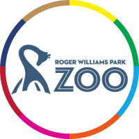Roger Williams Park Zoo(@RWPZoo) 's Twitter Profile Photo
