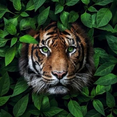 Princes65944326's profile picture. Lifestyle 🎀🎀