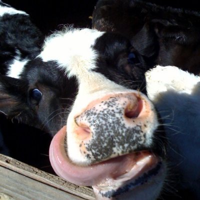 wtetzner's profile picture. 
