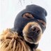 SweatyEddy (@sweatyeddyy) Twitter profile photo SweatyEddy (@sweatyeddyy) Twitter profile photo
