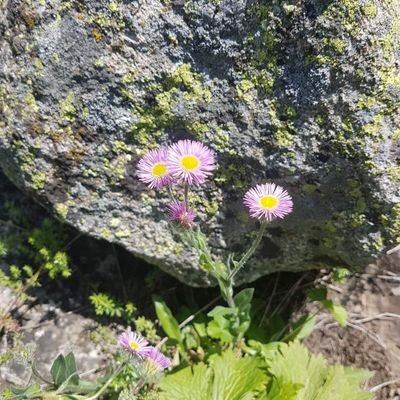 nasipgenc97's profile picture. Gffhhh