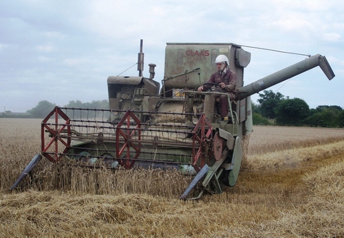 Trainer, business advisor and peasant farmer, based in East Suffolk