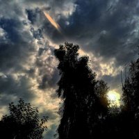 ابو العز (@tgn_6) 's Twitter Profile