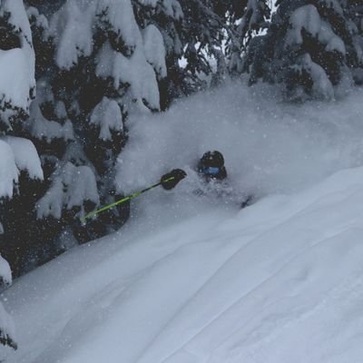 Alta Ski Area conditions in an authentic, video diary format. Follow us on Instagram! https://t.co/mpCYUT0z44