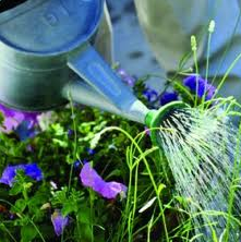 Get your free copy of '101 Gardening Tips'