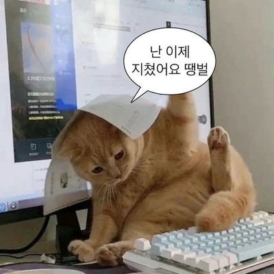 이름さんのプロフィール画像