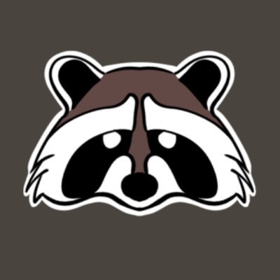 RaccoonBricks Profile Picture