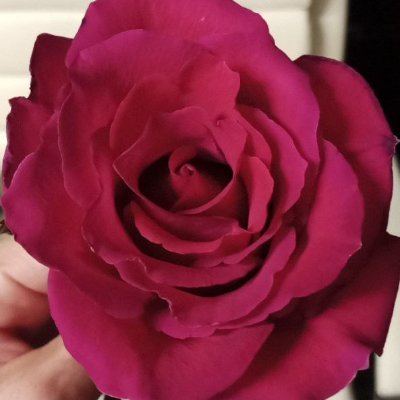 Nany8813's profile picture. Morenita...en busca de aventuras con una mujer  y compartirle a mi hombre😈🤤