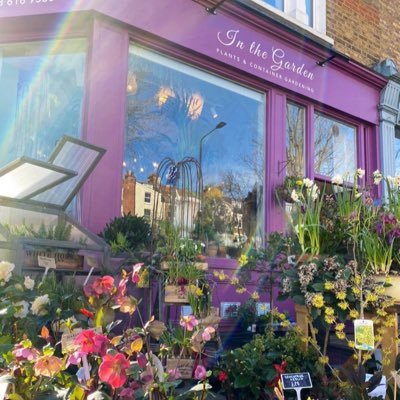 🏅RHS GOLD Medallist 2023 for our  'Houseplants & Container Gardening' exhibit🪴Plant shop & Ldn Market Stalls in West London • Local delivery available