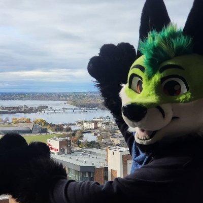 Dragoon π CanFur, MP Profile
