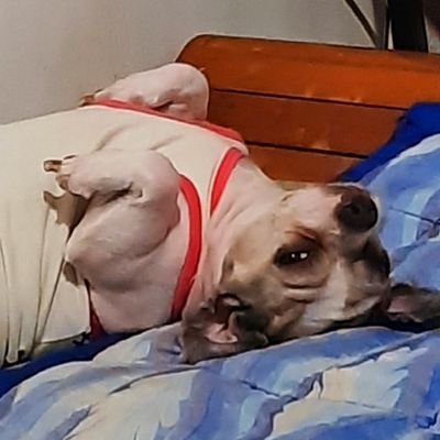 VivianMarc27's profile picture. 