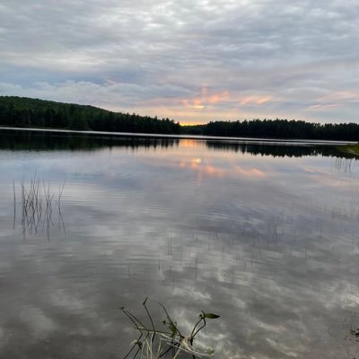 ryguypornhi91's profile picture. ryguypornhi in da cut