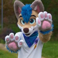Whity 🔜NFC (@whity_inu) 's Twitter Profile