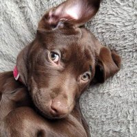 Nyx 🇨🇦 (@nyxfn) 's Twitter Profile