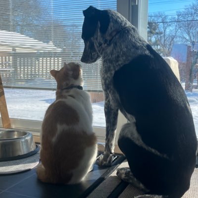 DJKalib's profile picture. Sports. Photography.