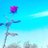 Tiamo_kenty