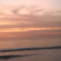 Lamin Drammeh (@lamindrammeh228) 's Twitter Profile